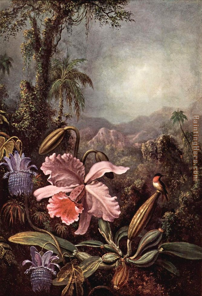 Orchids passion flower and hummingbirds painting - Martin Johnson Heade Orchids passion flower and hummingbirds art painting